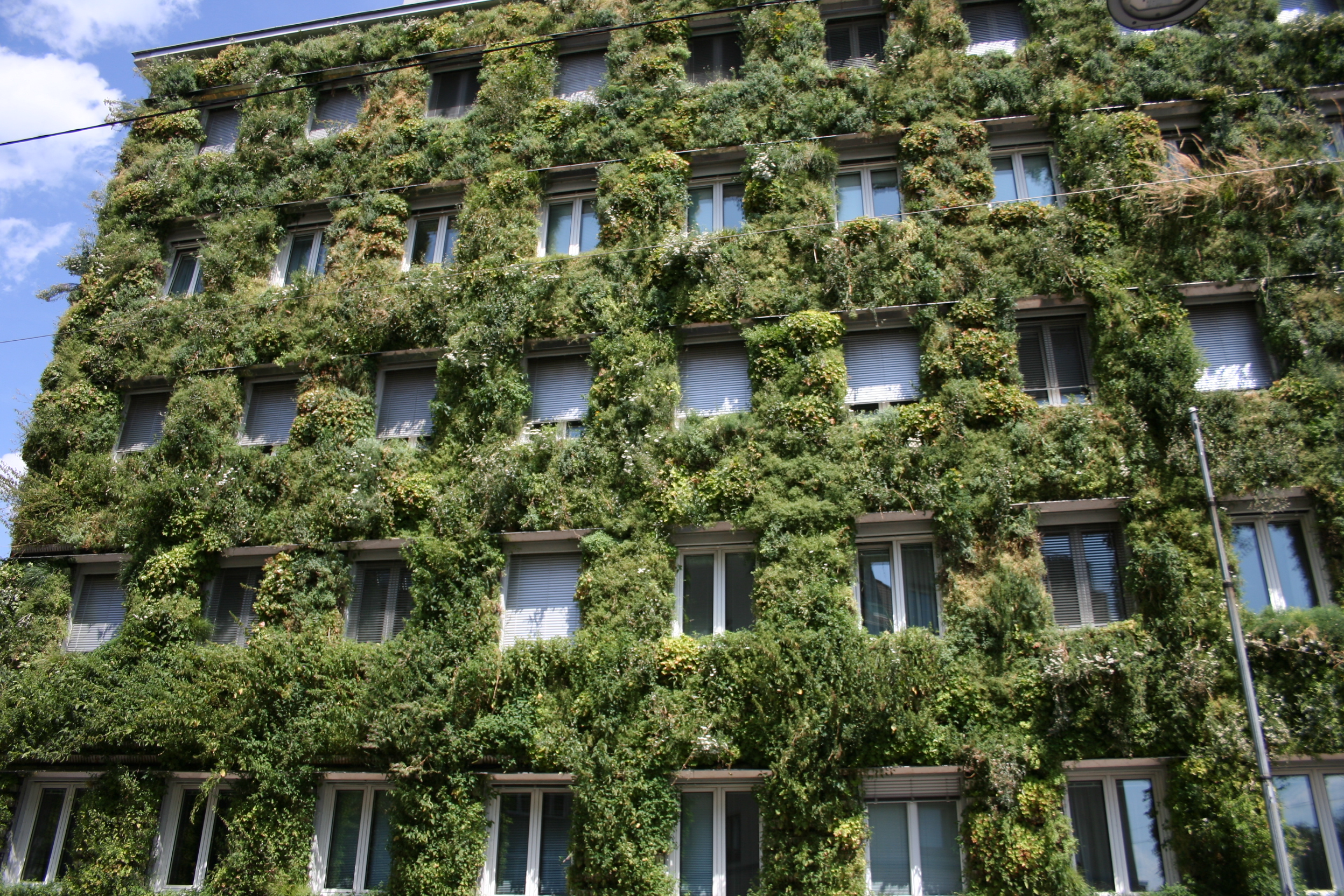 Bürogebäude mit begrünter Fassade